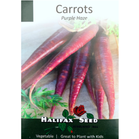 Halifax Seed Carrots Purple Haze Pkg.