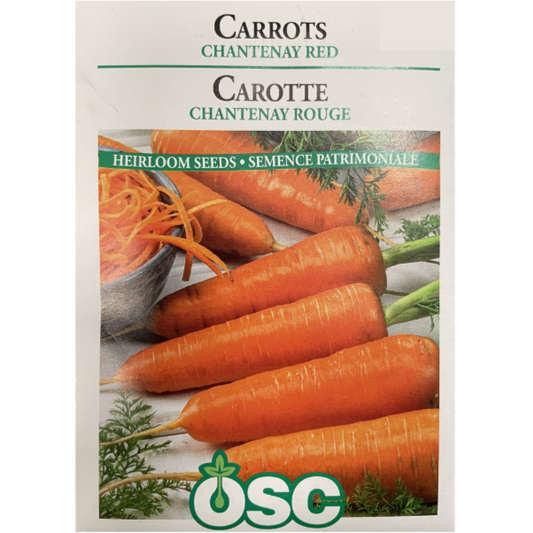 OSC Seeds Carrot Chantenay Red Pkg