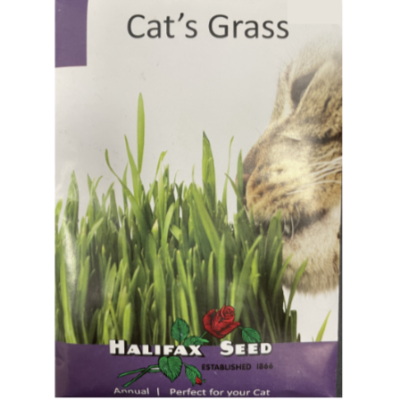 Halifax Seed Cat Grass Pkg.