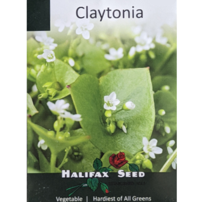 Halifax Seed Claytonia Pkg.