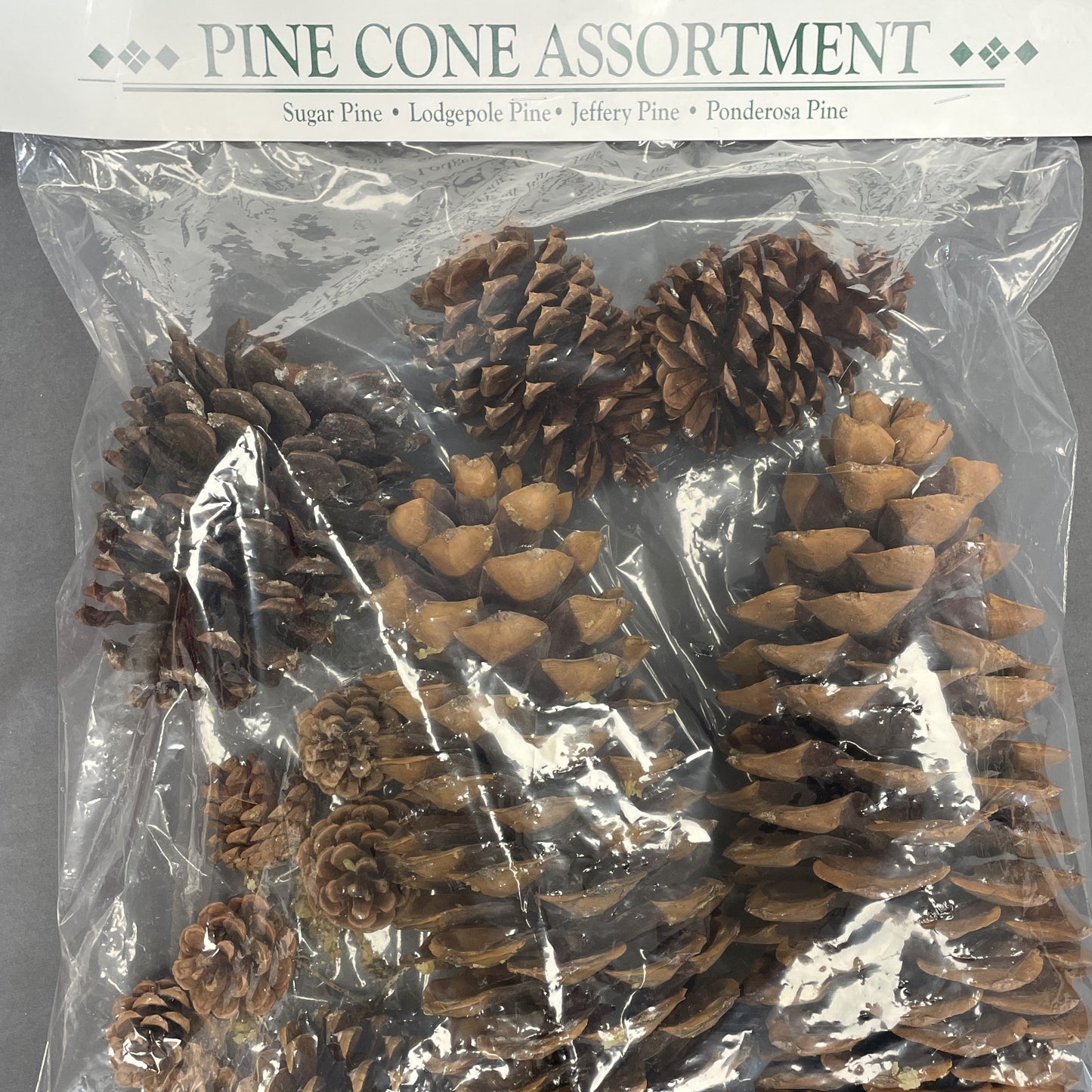 Cones Assorted 12/Bag