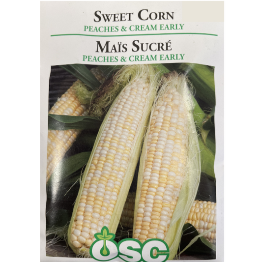 OSC Seeds Corn Peaches & Cream Early Pkg