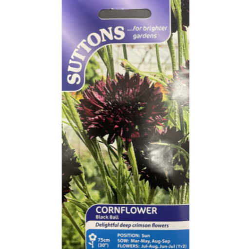 Suttons Seed Cornflower Black Ball Pkg.