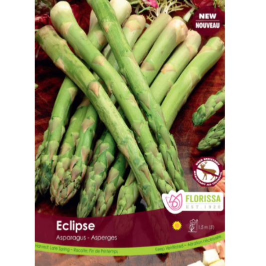 Asparagus Roots 'Eclipse Zone 3' Bare Root Each