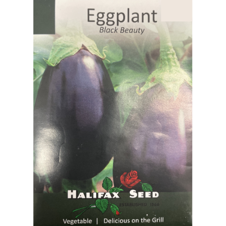 Halifax Seed Eggplant Black Beauty Pkg.