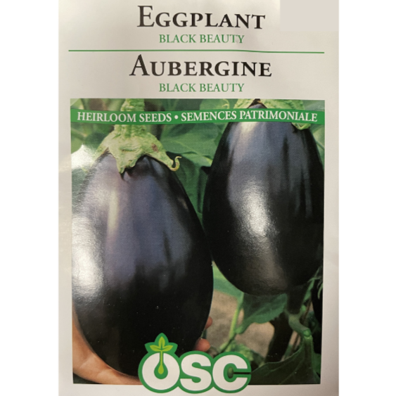 OSC Seeds Eggplant Black Beauty Pkg.