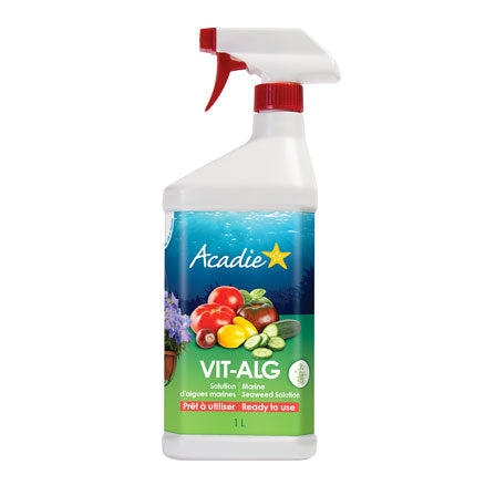 VIT-ALG Marine Seaweed Solution