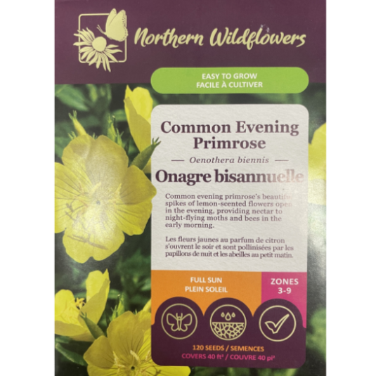 Northern Wildflowers Evening Primrose Common Pkg.