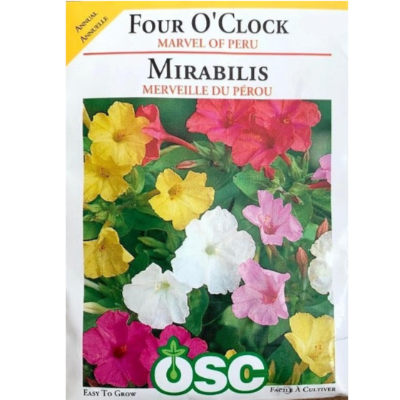 OSC Seeds Four O'Clock Marvel Of Peru Pkg.