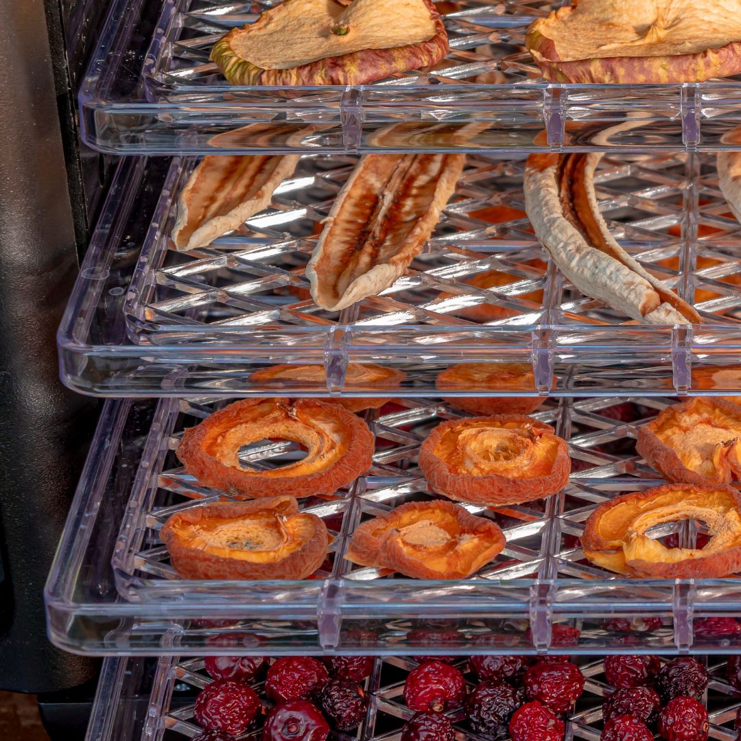 Dehydrator Food Drying in a dehydrator