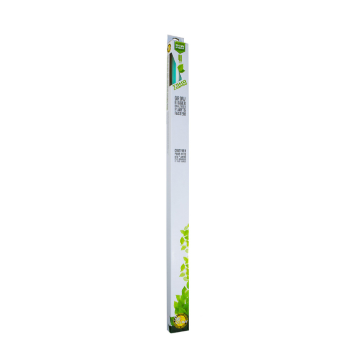 T5 Light 4' Combo - 6400K Sunblaster