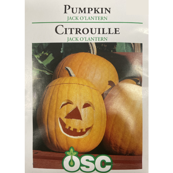OSC Seeds Pumpkin Jack O'Lantern Pkg.
