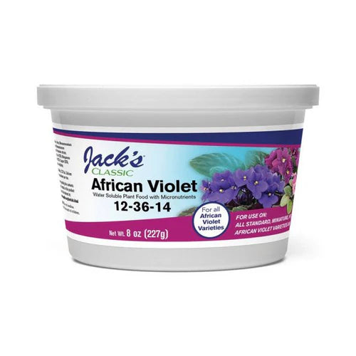African Violet 12-36-14