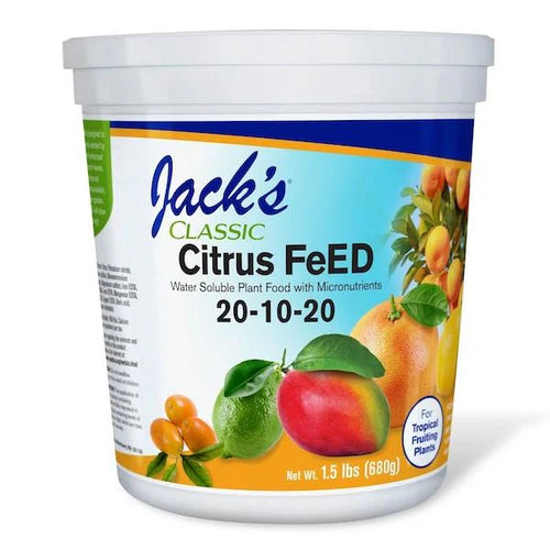 Citrus FeED 20-10-20