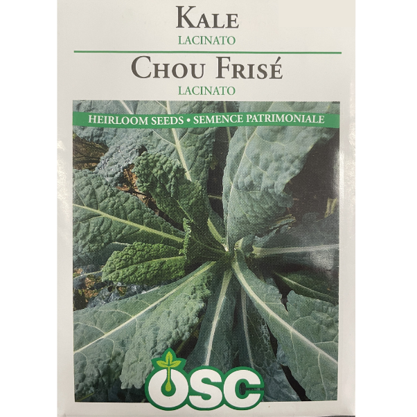 OSC Seeds Kale Lacinato Pkg.