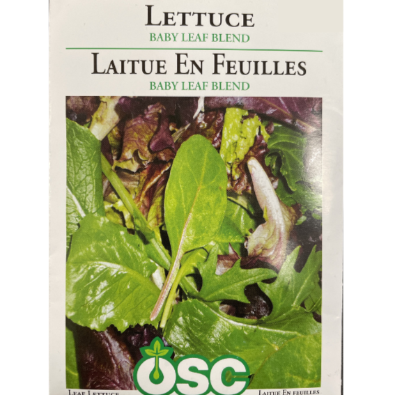 OSC Seeds Lettuce Baby Leaf Blend Pkg.