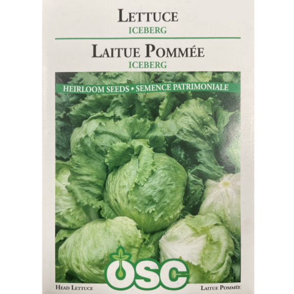 OSC Seeds Lettuce Iceberg Pkg.