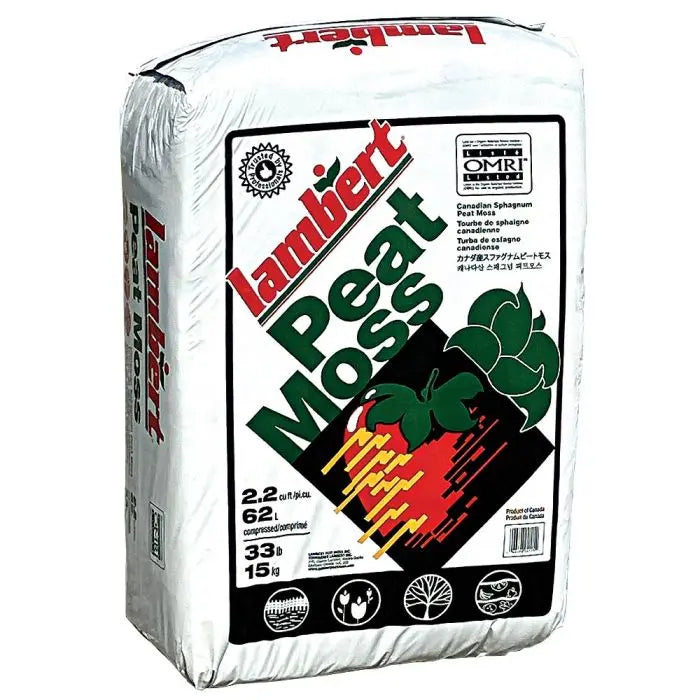 Peat Moss Lambert
