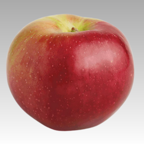 Apple Macoun 5gal