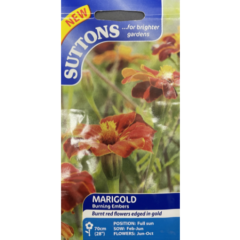 Suttons Seed Marigold Burning Embers Pkg.