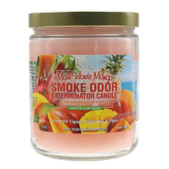 Odor Eliminating Candle Maui Wowie Mango