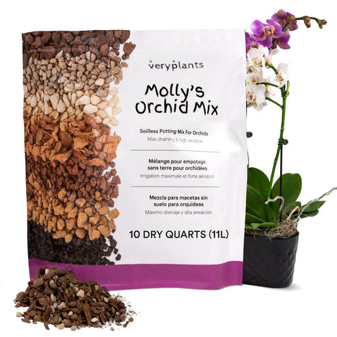 Molly's Orchid Mix