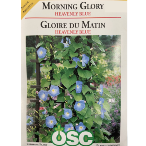 OSC Seeds Morning Glory Heavenly Blue Pkg.