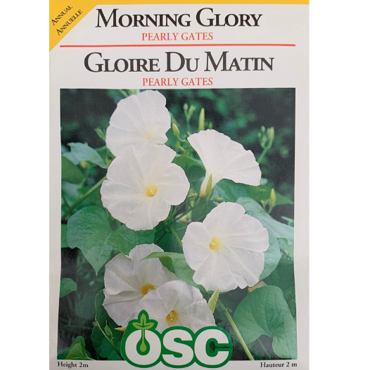 OSC Seeds Morning Glory Pearly Gates Pkg.