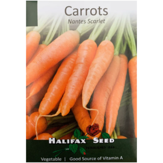 Halifax Seed Carrots Nantes Scarlet