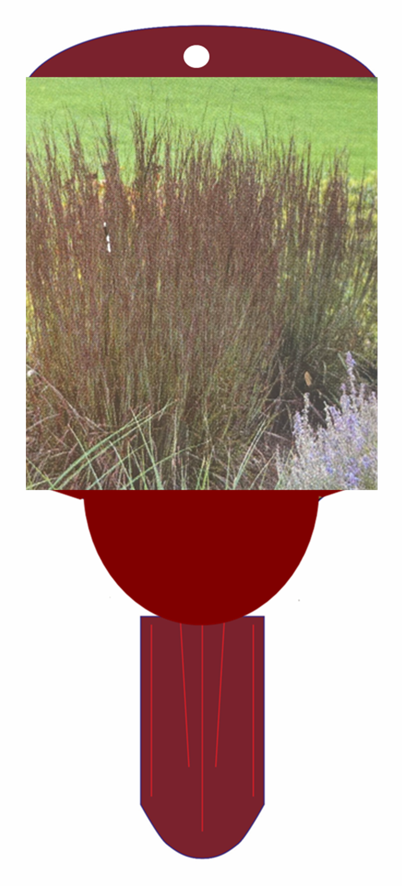 Grass 'Smoke Signal'