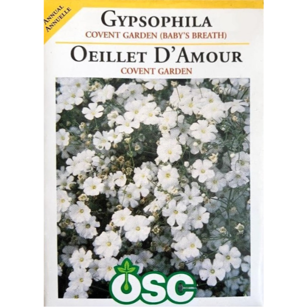 OSC Seeds Gypsophila Covent Garden Baby's Breath Pkg.