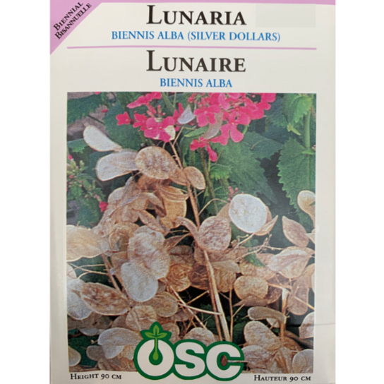 OSC Seeds Lunaria Silver Dollars Pkg.
