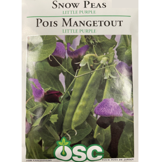 OSC Seeds Pea Snow Little Purple