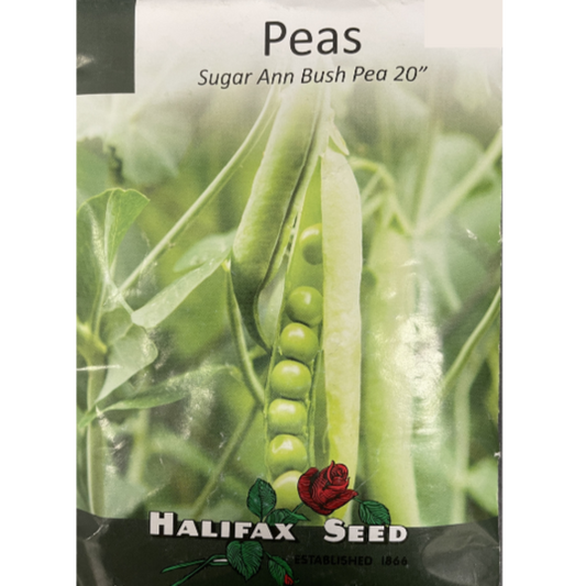 Halifax Seed Peas Sugar Ann Bush