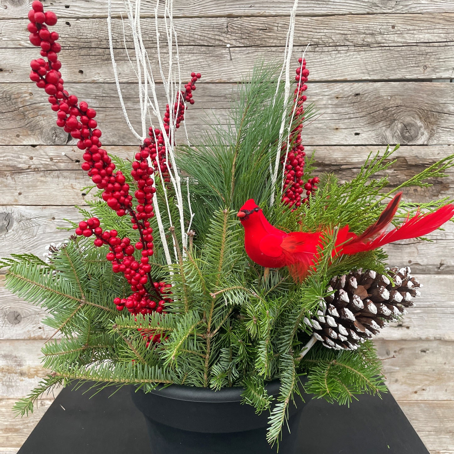 Christmas Planter w/Cardinal 10" Pot