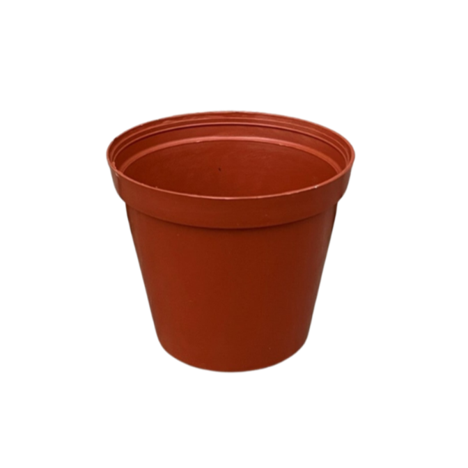 Terra Cotta Plastic Mini Pot