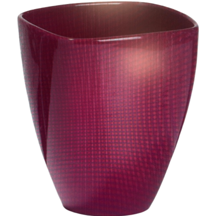 Orchid Pots 5"