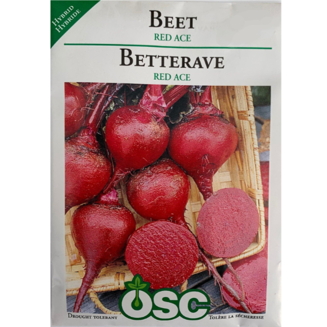 OSC Seeds Beet Red Ace Pkg.