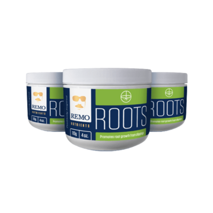 Remo Roots