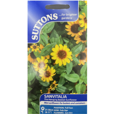 Suttons Seed Sanvitalia The Hanging Basket Sunflower Pkg.