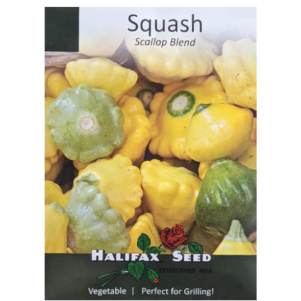 Halifax Seed Squash Scallop Blend Pkg.