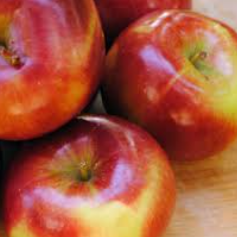 Apple Spartan