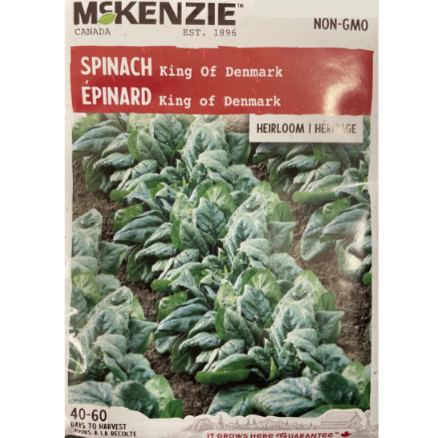 McKenzie Seed Spinach King of Denmark Pkg.