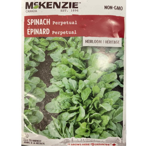 McKenzie Seed Spinach Perpetual Pkg