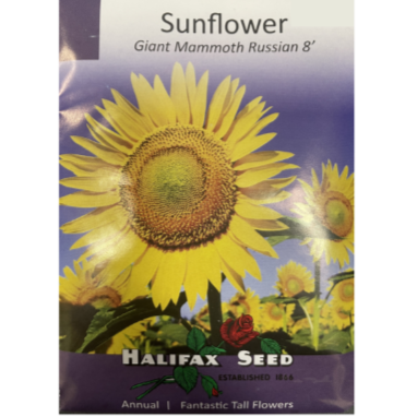Halifax Seed Sunflower Giant Mammoth Russian Pkg.
