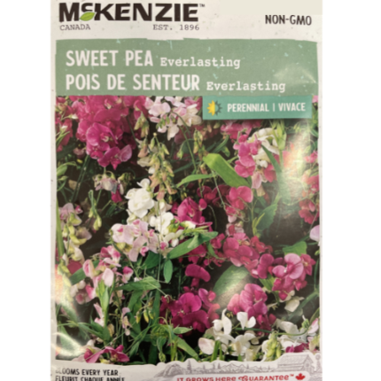 McKenzie Seed Sweet Pea Everlasting Pkg