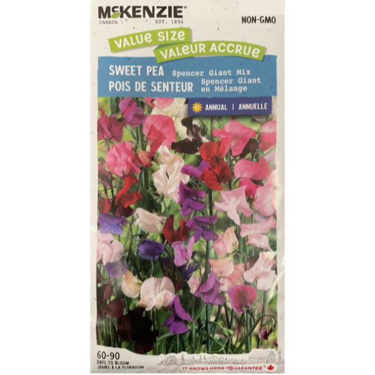 McKenzie Seeds Sweet Pea Spencer Giant Mix Value Size
