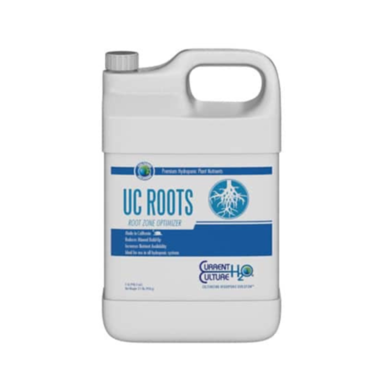 Current Culture H2O UC Roots