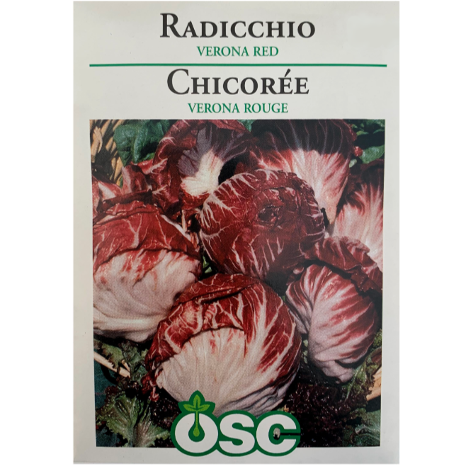 OSC Seeds Radicchio Verona Red Pkg.
