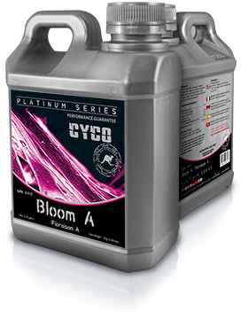 Cyco Bloom A & B